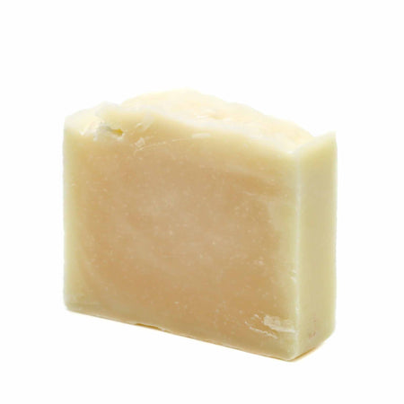 Welliver Goods - Lemon/Lime Dish Block - Mortise And Tenon