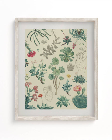 Cactus Museum Print - Mortise And Tenon