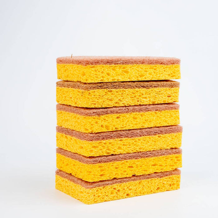 Walnut and Cellulose Biodegradable Scrubber Sponge