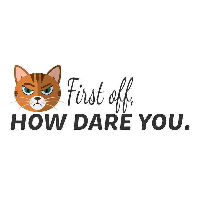 How Dare You - 3.5" Waterproof Sticker