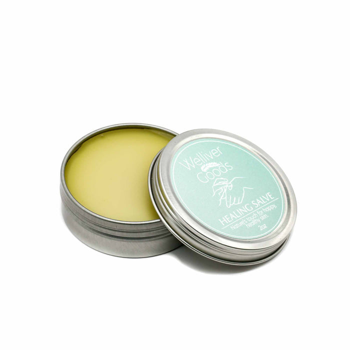 Welliver Goods Healing Salve - 2 Sizes