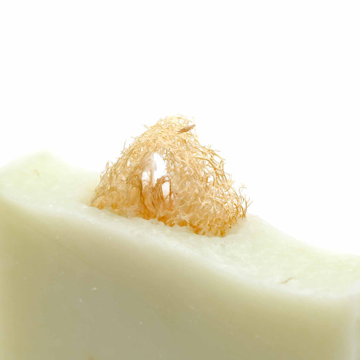 Welliver Goods - Spa Day Bar Soap