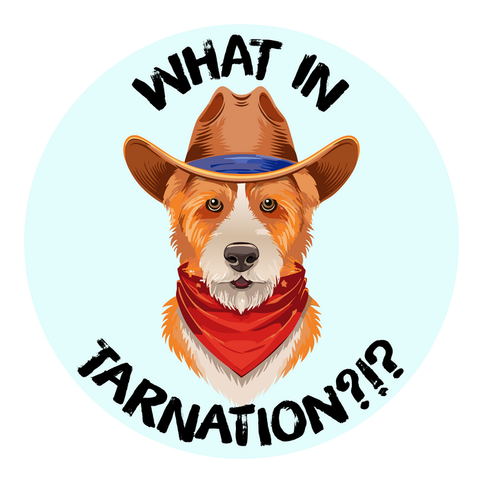 What in Tarnation! Sticker 2.4"