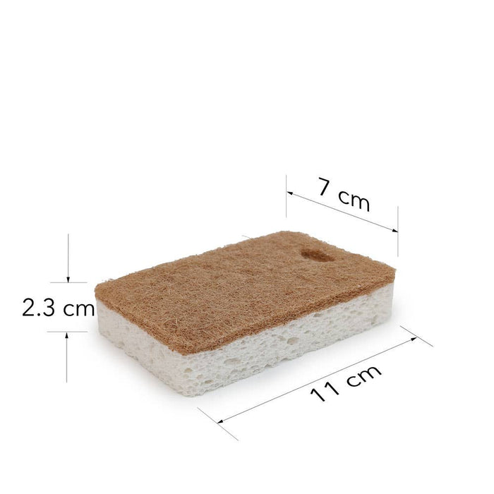 Walnut and Cellulose Biodegradable Scrubber Sponge