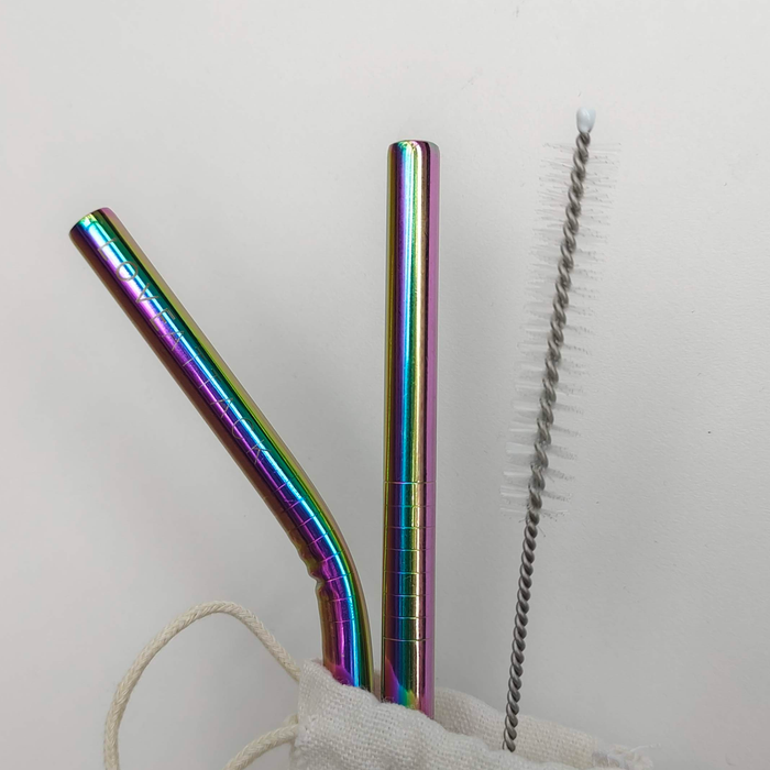 2pk Reusable Stainless Steel Drinking Straws - Colourful
