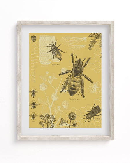 Honey Bee Museum Print - Mortise And Tenon