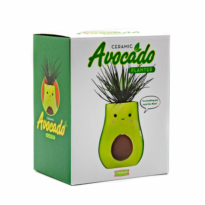 Avocado Planter - Mortise And Tenon