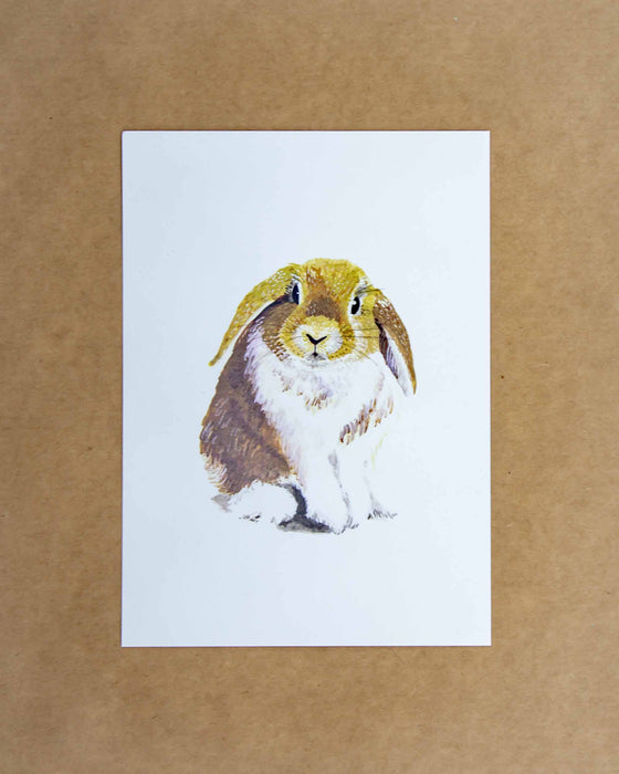 Front Paper Bunny Print 5x7 - Mortise And Tenon