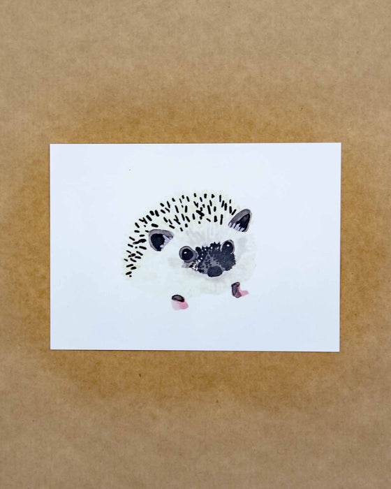 Front Paper Hedgehog Print 5x7 - Mortise And Tenon