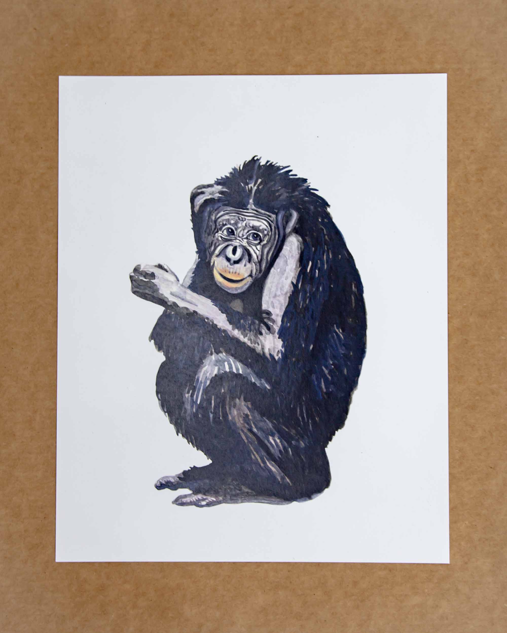 Front Paper Chimpanzee Print 8x10 - Mortise And Tenon