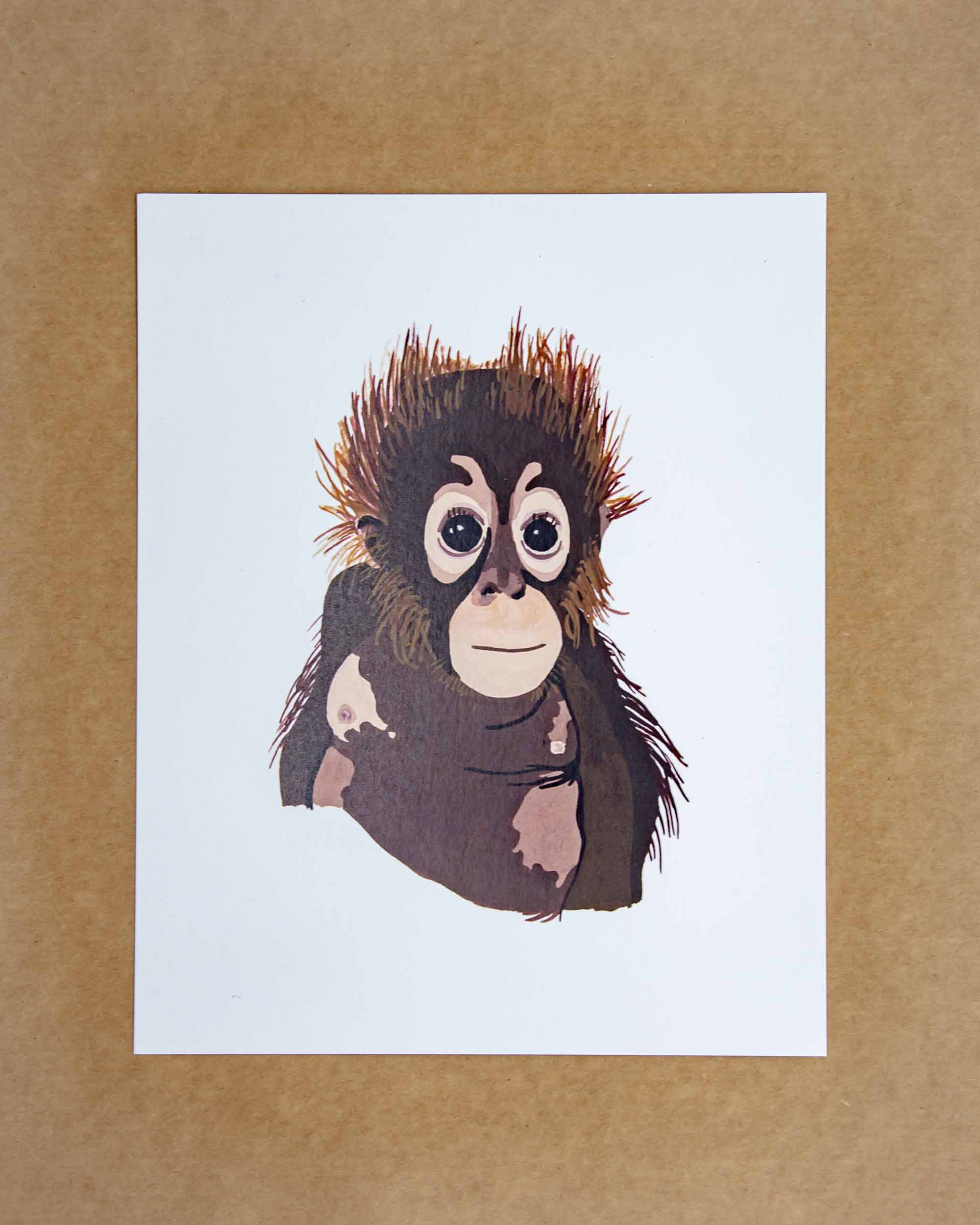 Front Paper Orangutan Print 8x10 - Mortise And Tenon