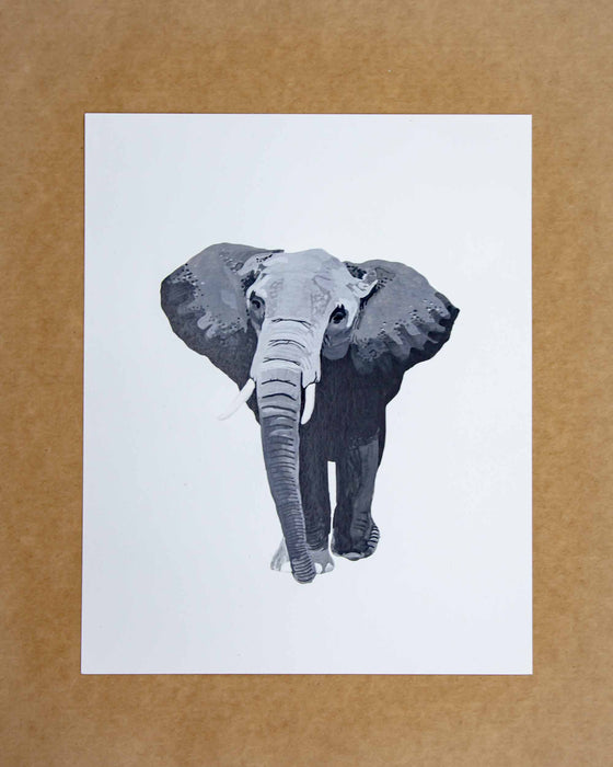 Front Paper Elephant Print 8x10 - Mortise And Tenon