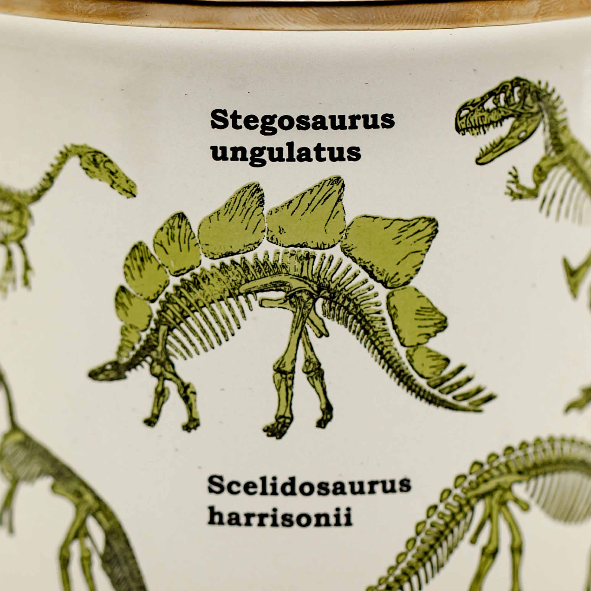 ECOLOGIE - Dinosaurum Enamel Mug - Mortise And Tenon