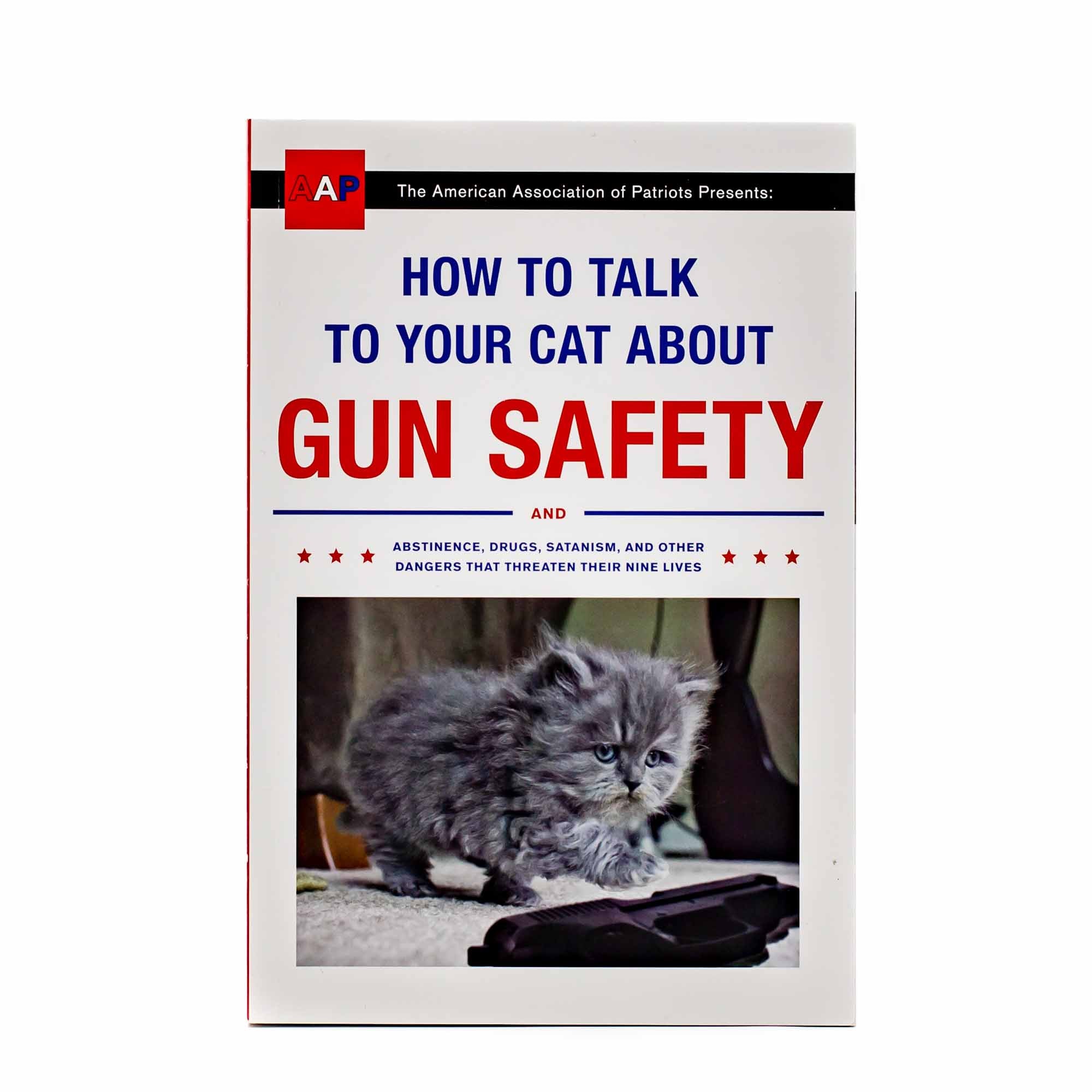 How to Talk to Your Cat About Gun Safety - Mortise And Tenon